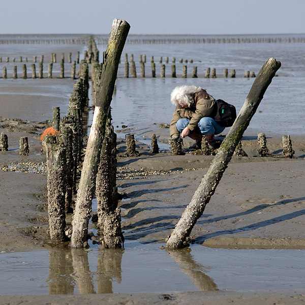 1_over_mijn_werk.jpg